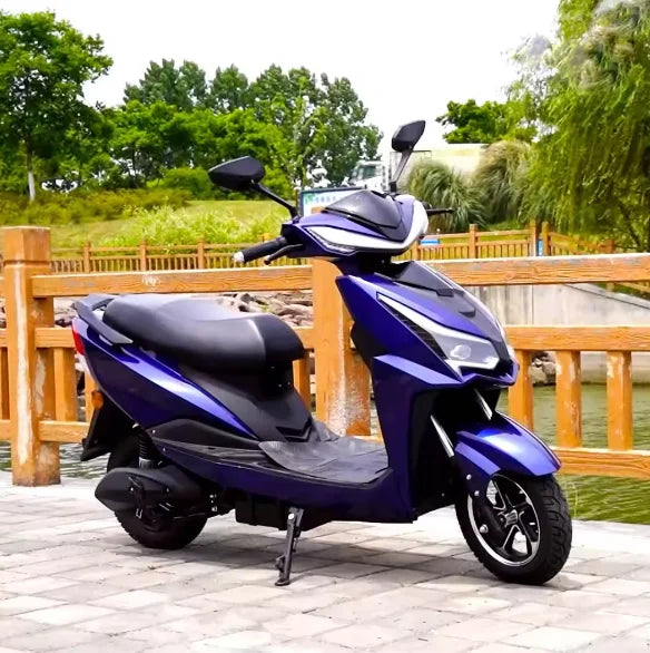750W Cargo Electric Scooter – 2-Seater