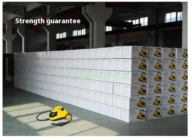 High-Pressure Steam Cleaner — Car Detailing, Sauna Machine, Invisible Car Film & Range Hood Cleaning