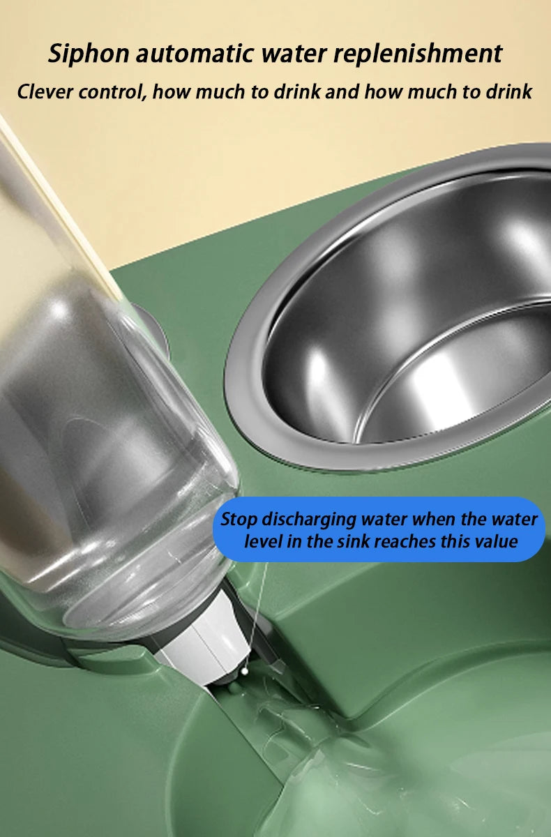 Non-Slip Stainless Steel Dog & Cat Food Bowl