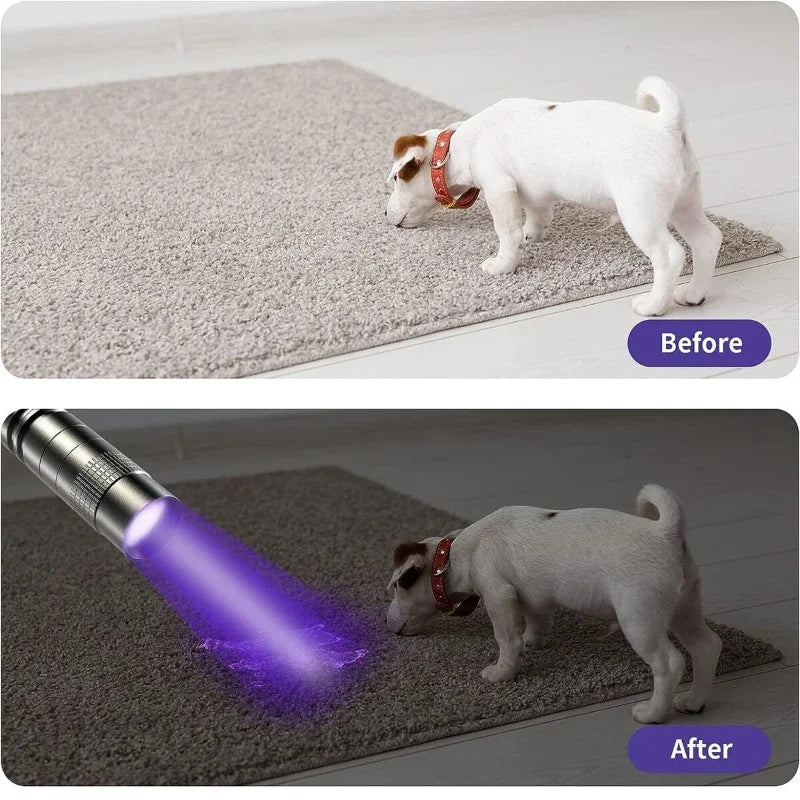 UV Flashlight 395nm Ultraviolet Torch – Pet Urine & Scorpion Detector, Pen Clip, 200 Lumens, AAA Battery