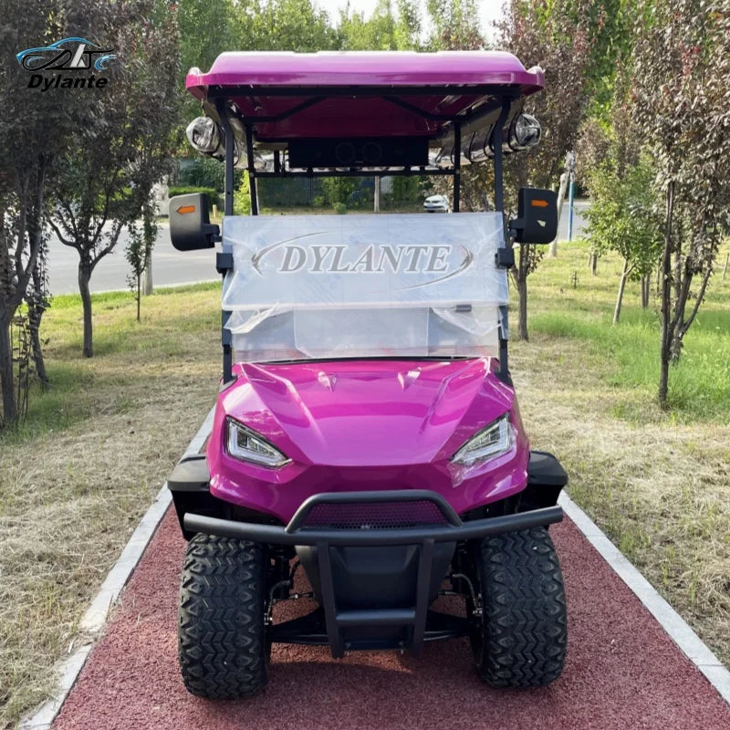2026 Hot Sale Electric Model 48V AC Motor Golf Cart Custom Gas Driven 2+2 Seat With Folding Back Seat Off-road Hunting Car