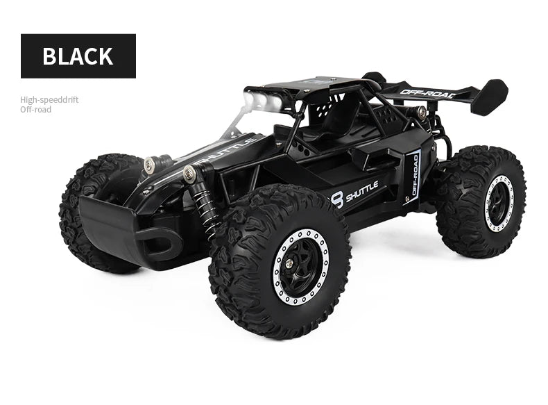 ZWN DK087 1:16 Scale 2WD RC Off-Road Climbing Car with LED Lights – Boys & Girls Gift