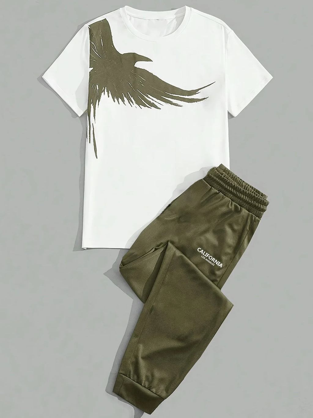 Men's Eagle Print T-Shirt & Shorts Sport Set – Casual 2-Piece Leisure Outfit