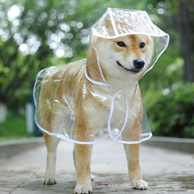 Waterproof Hooded Raincoat for Small Dogs