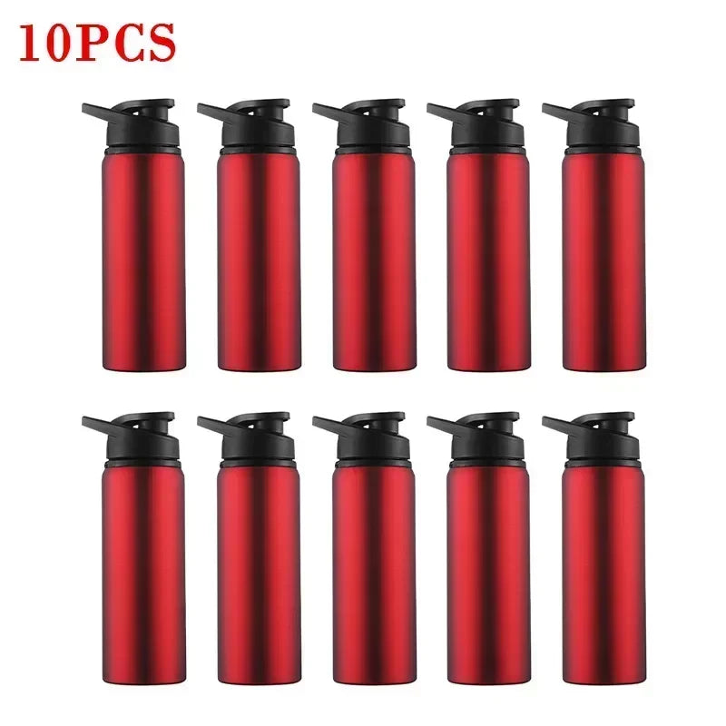 Stainless Steel Bicycle Water Bottle – Portable Outdoor Sports & Travel Kettle, BPA-Free, 700ml