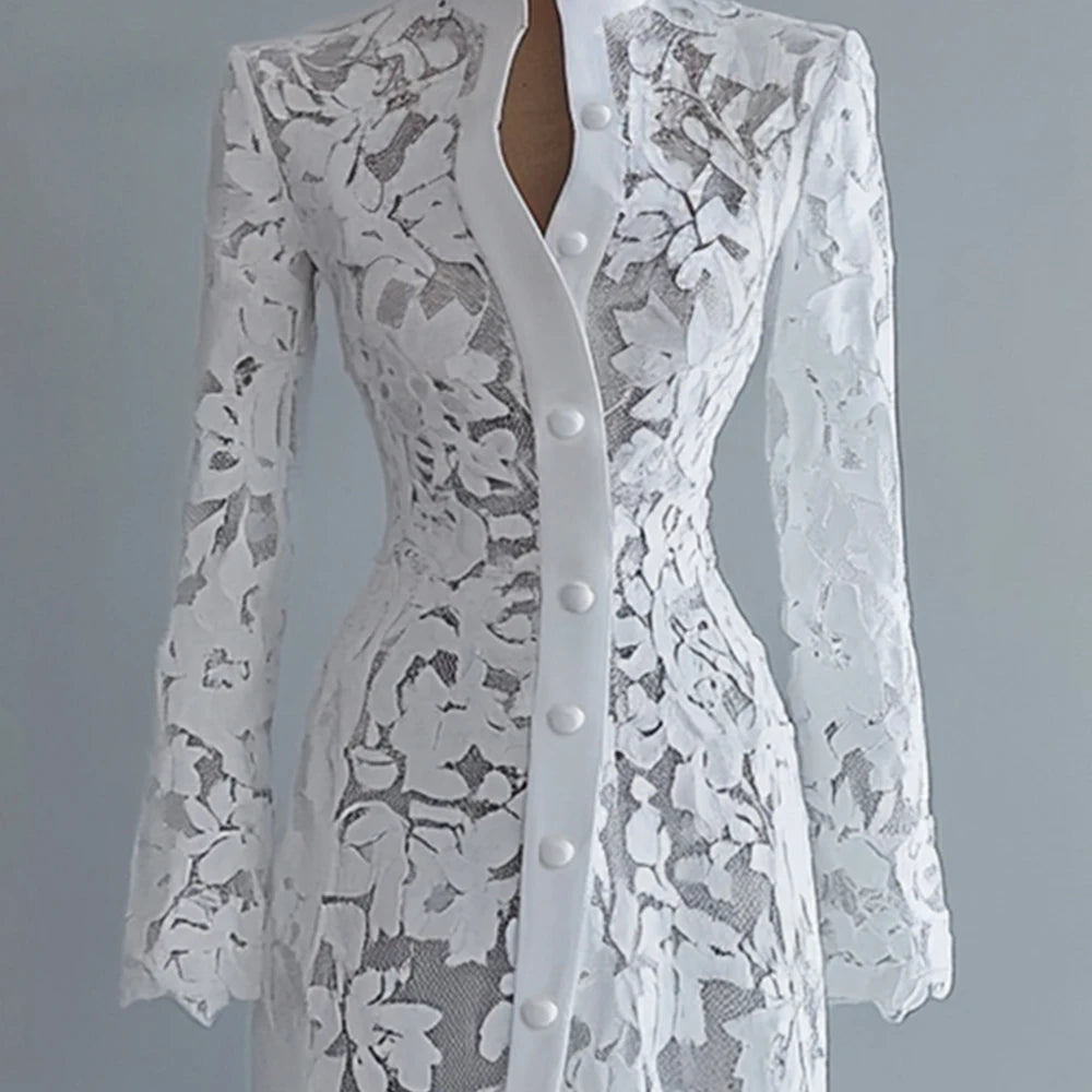 Women's Lace Dress for Women Fall Stand Collar Single Breasted Long Sleeve Coat Midi Dress See Through Elegant Sweet Dresses