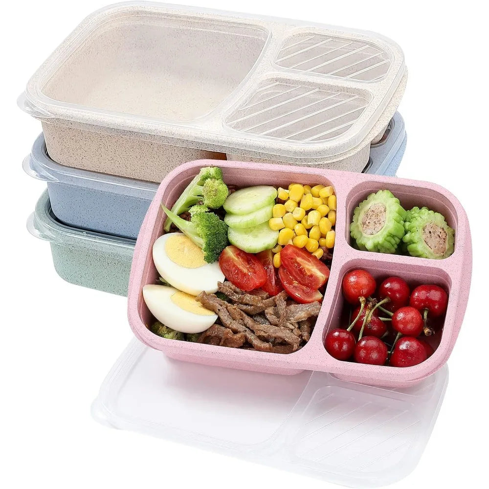 3-Compartment Bento Lunch Box — Kids & Adults