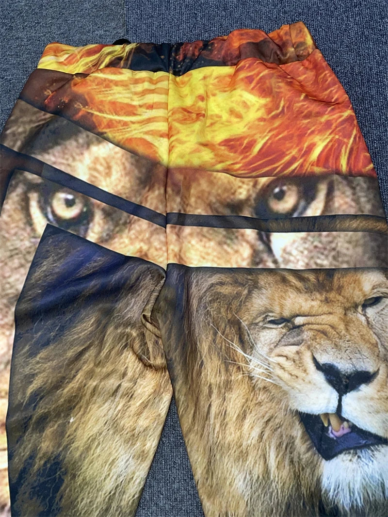 Men's 3D Lion Print Zip-Up Hoodie & Elastic Waist Pants Tracksuit Set