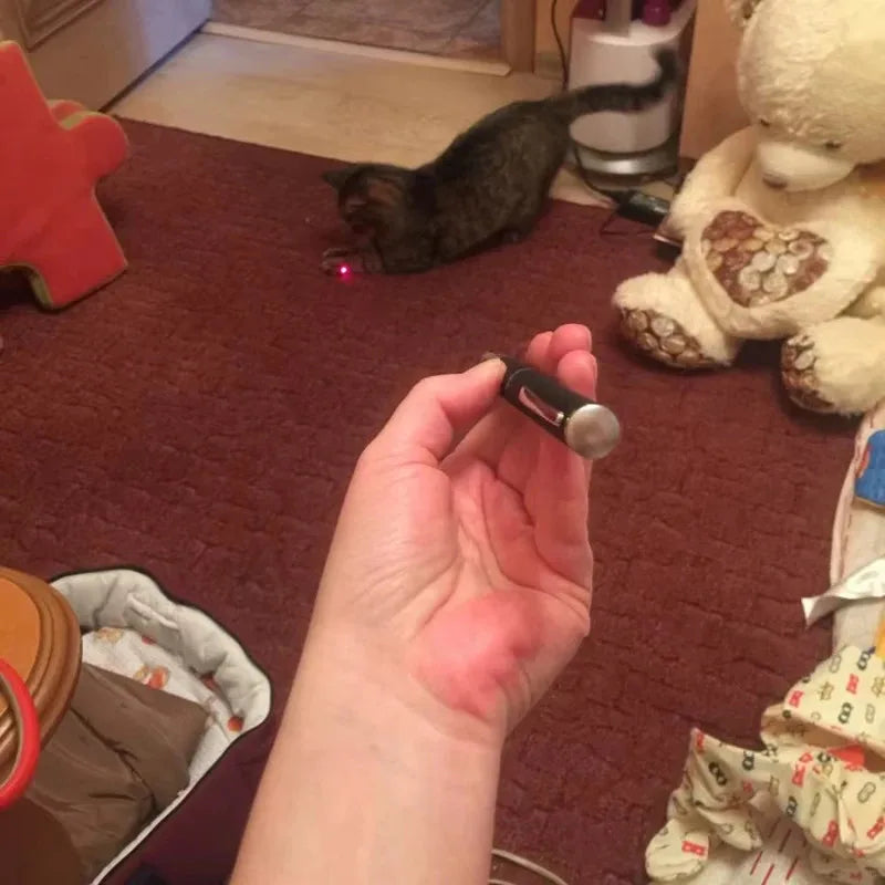 Pet Laser Pointer & LED Flashlight – Interactive Cat Toy for Kittens