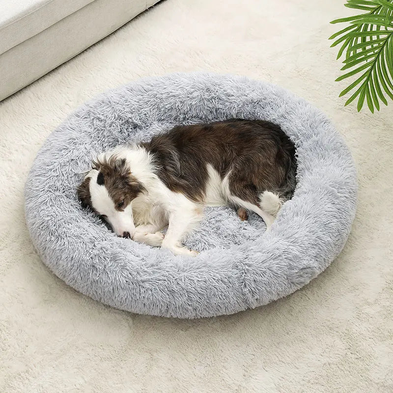Soft Long Plush Dog Bed – Warm Basket Cushion for Small & Medium Dogs and Cats