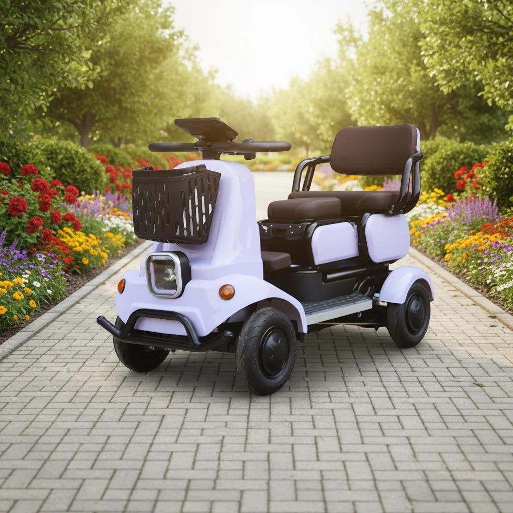 650W 4-Wheel Mobility Scooter – 60–110 km Range