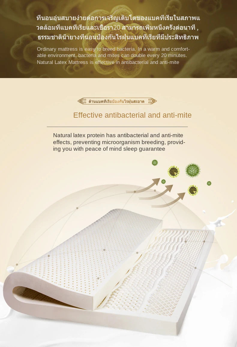 Authentic Natural Latex Mattress – Slow Rebound, Foldable, Cotton Cover, Customizable Sizes
