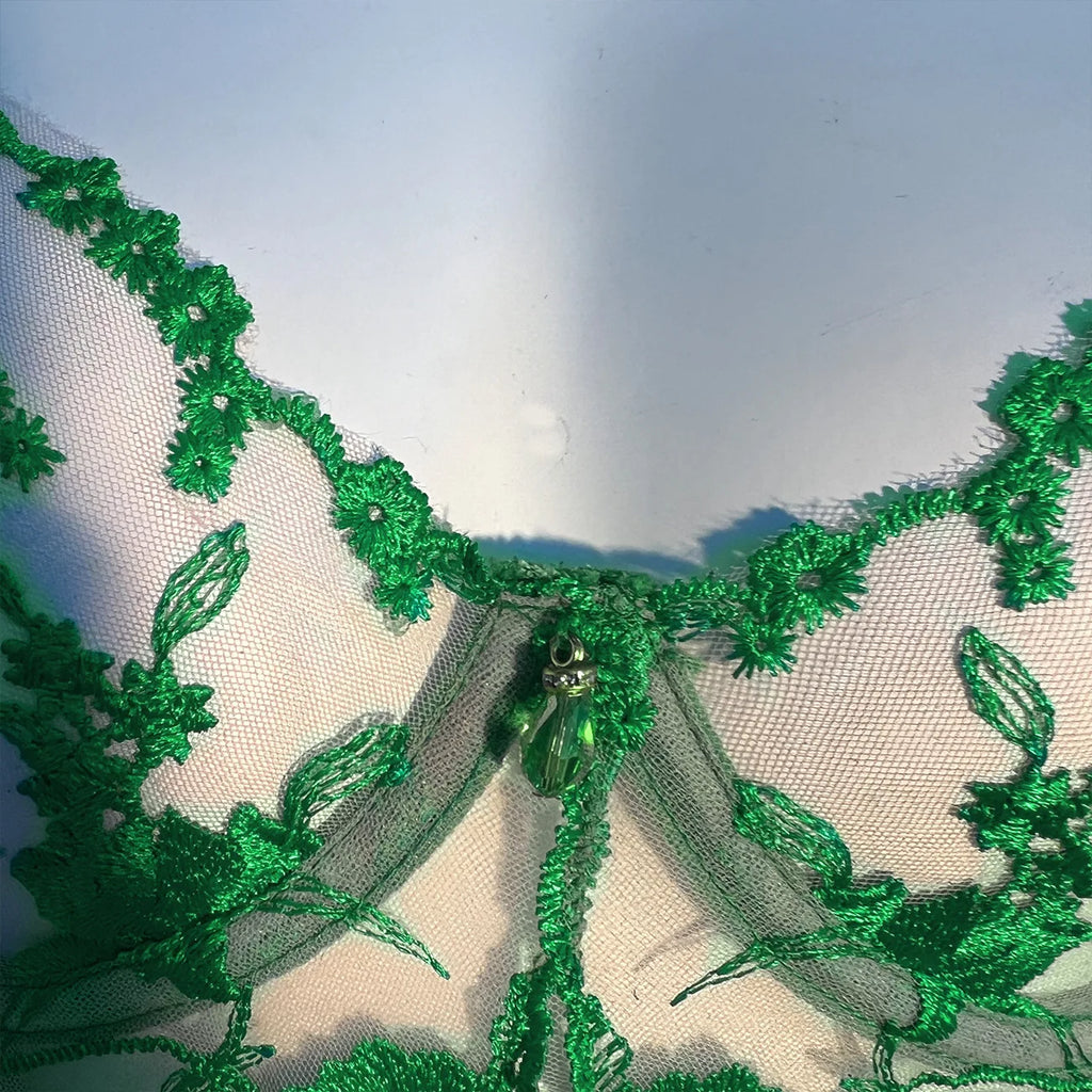 Sheer Embroidery Bra & Brief Set — Transparent Lace Underwear Suit