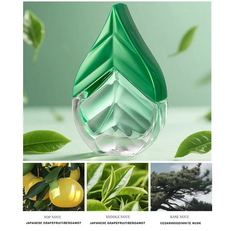 Black Tea & Green Tea Unisex EDT 50ml – Natural Niche Fragrance Spray