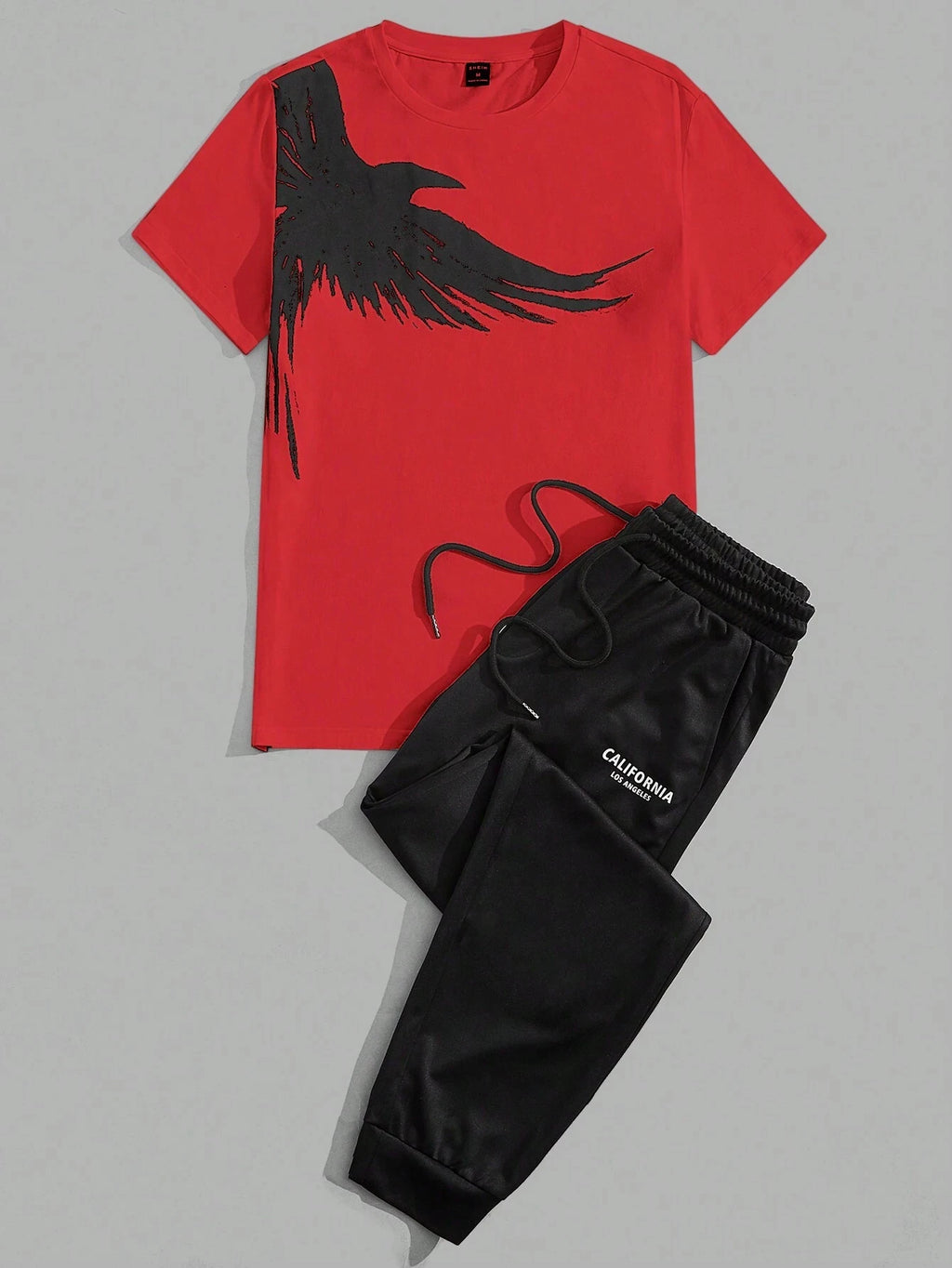 Men's Eagle Print T-Shirt & Shorts Sport Set – Casual 2-Piece Leisure Outfit