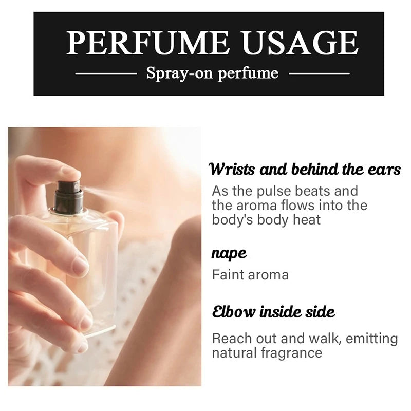 Luxury Woody Aquatic Unisex Cologne 50ml – Fresh Aromatic Niche Fragrance