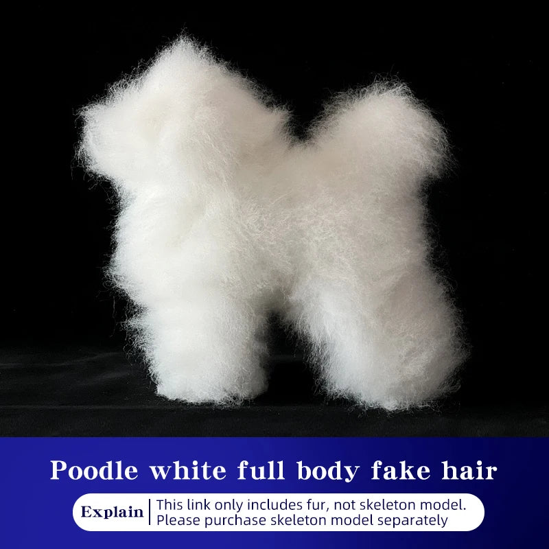 Full-Body Poodle Grooming Practice Model