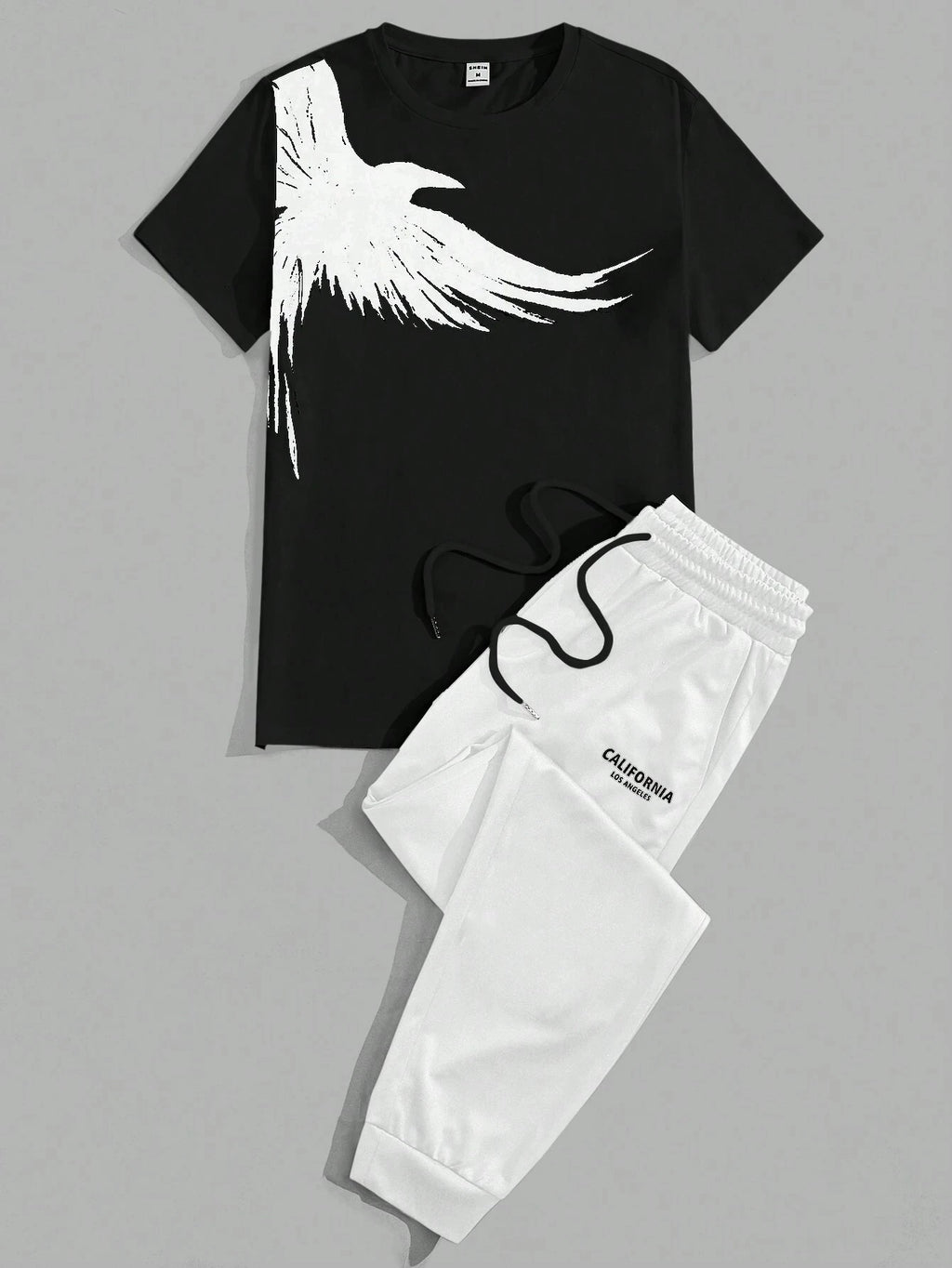 Men's Eagle Print T-Shirt & Shorts Sport Set – Casual 2-Piece Leisure Outfit
