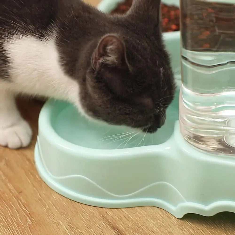 3.8L Automatic Pet Water Fountain & Food Dispenser