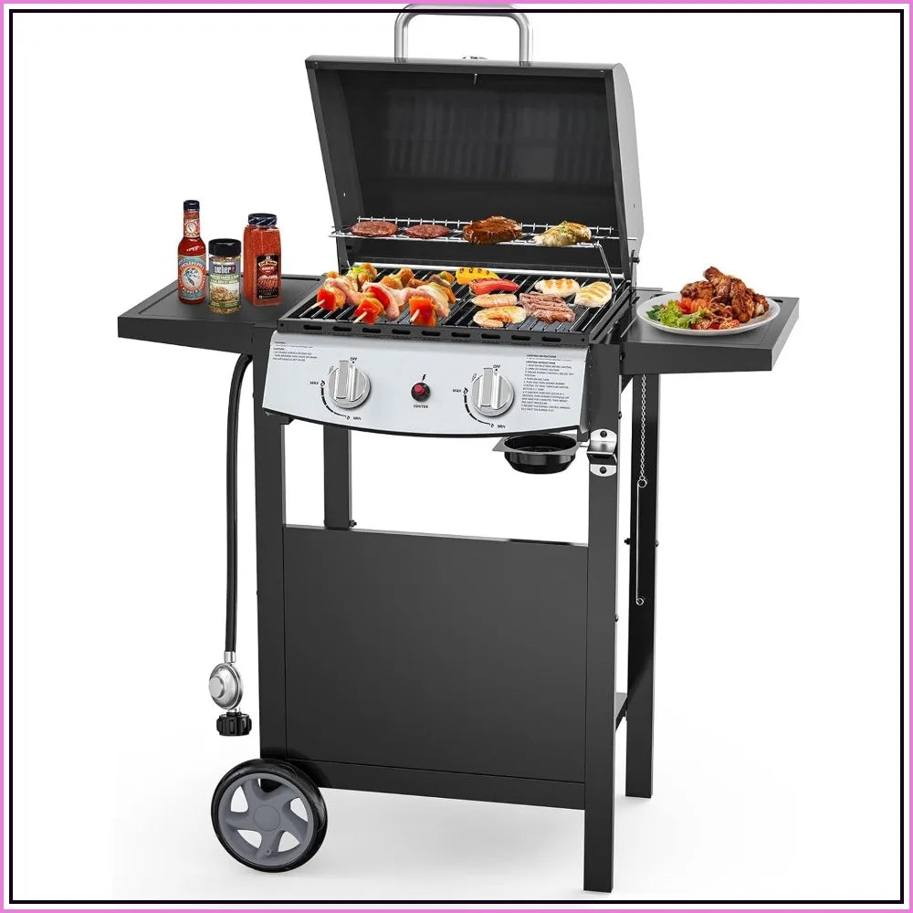 2-Burner Propane Gas BBQ Grill | 20,000 BTU, Stainless Steel, Side Shelves, Wheels, Piezo Ignition, Portable Outdoor Grill for Patio, Backyard & Camping