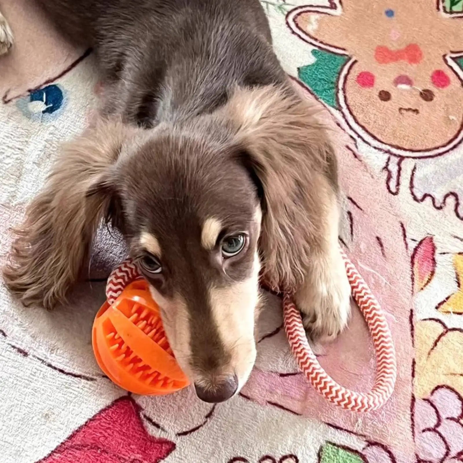 Treat-Dispensing Rope Ball Puzzle Toy for Dogs