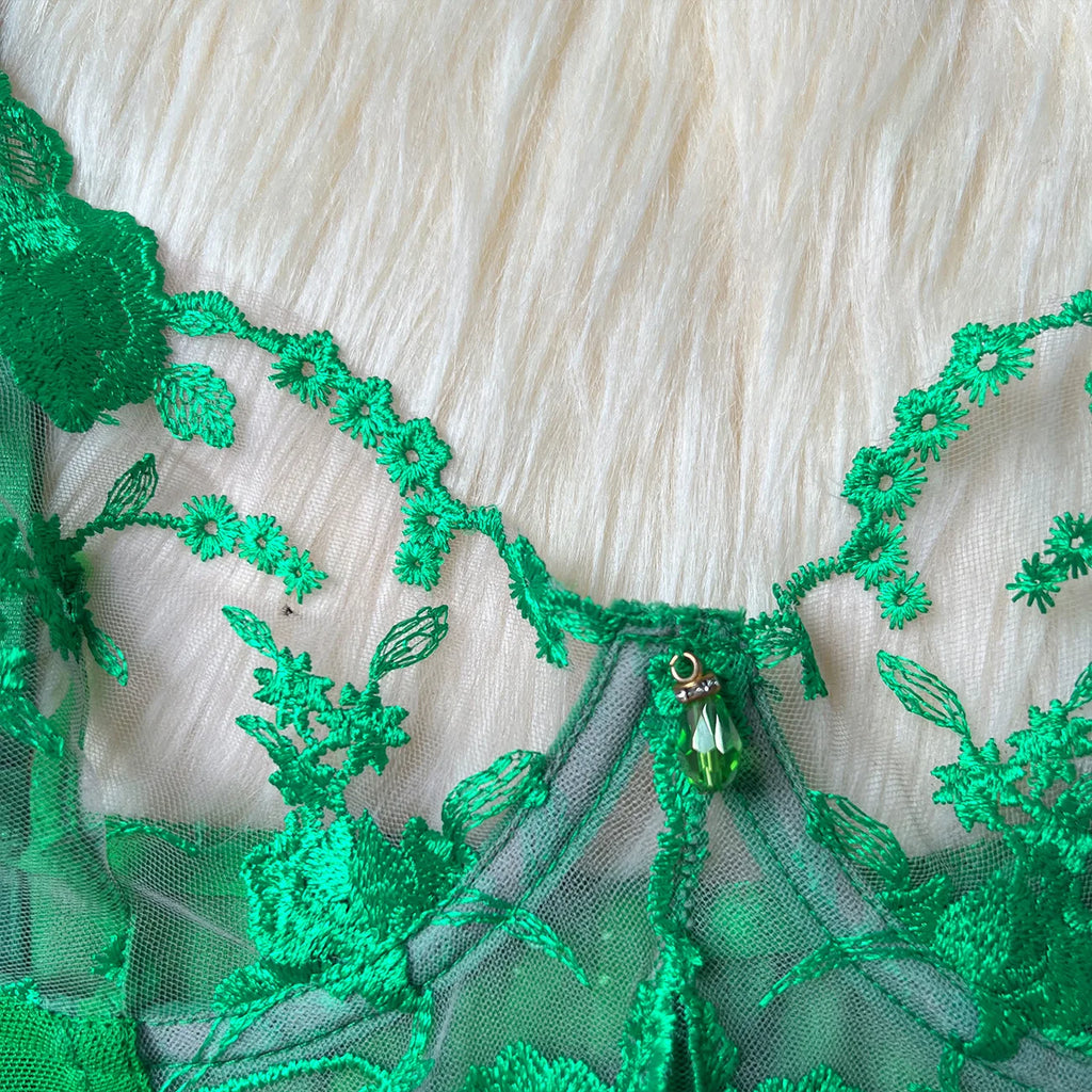 Sheer Embroidery Bra & Brief Set — Transparent Lace Underwear Suit
