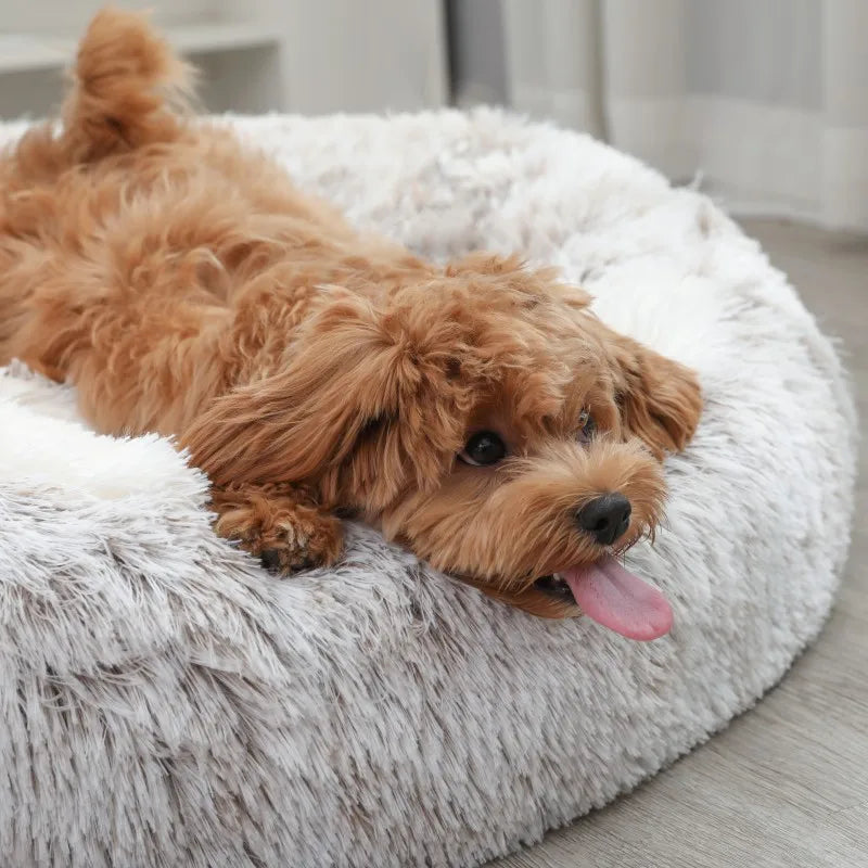 Round Plush Dog & Cat Bed – Warm Washable Pet Sofa Basket, Small to Large Dogs & Cats