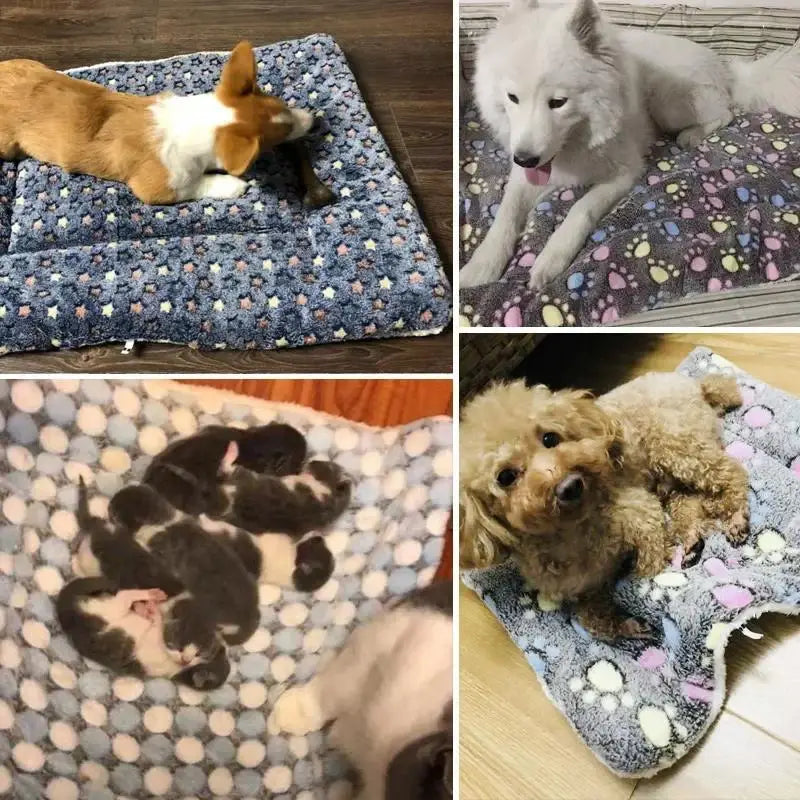 Bear Pattern Pet Sleeping Mat – Soft Thickened Fleece Dog & Cat Bed Blanket Pad, Washable