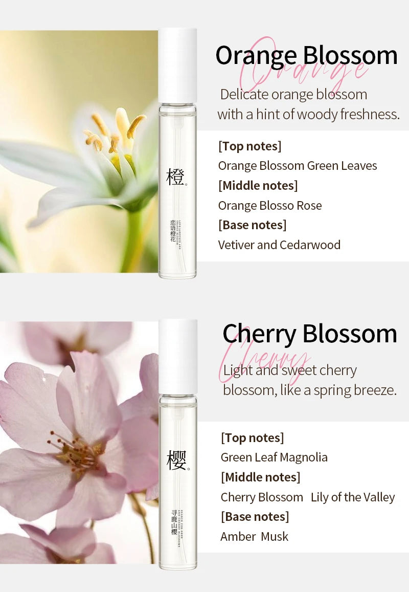 Women’s Floral Perfume Gift Set – 12 Scents EDT 5ml Mini Collection