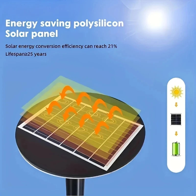 Solar Outdoor Yard Light with Motion Sensor