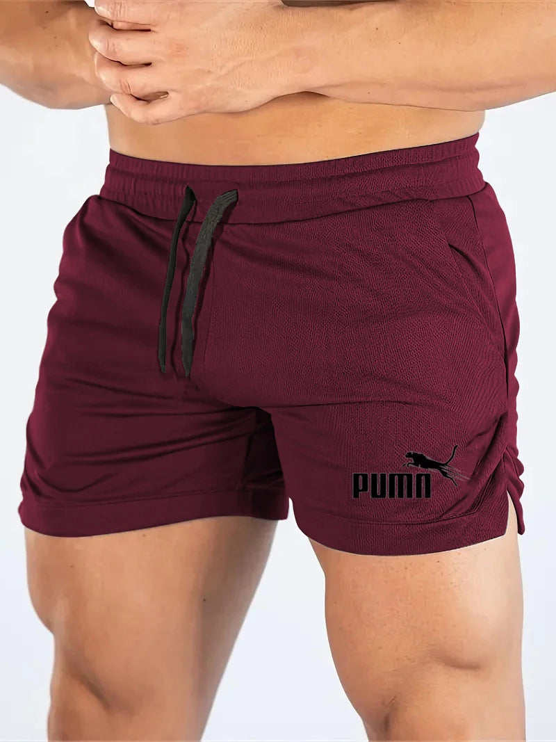 Men's Mesh Quick-Dry Beach Shorts — Lightweight Summer Swim Shorts