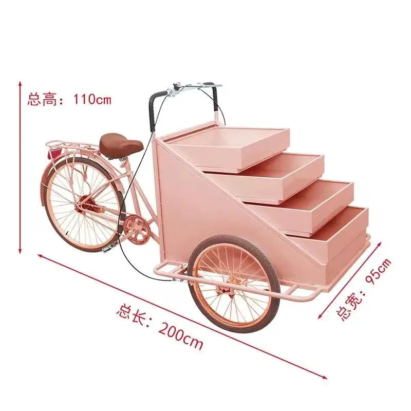 Custom Commercial Ice Cooler Cart Tricycle – Stainless Steel Freezer Bicycle for Snacks & Candy