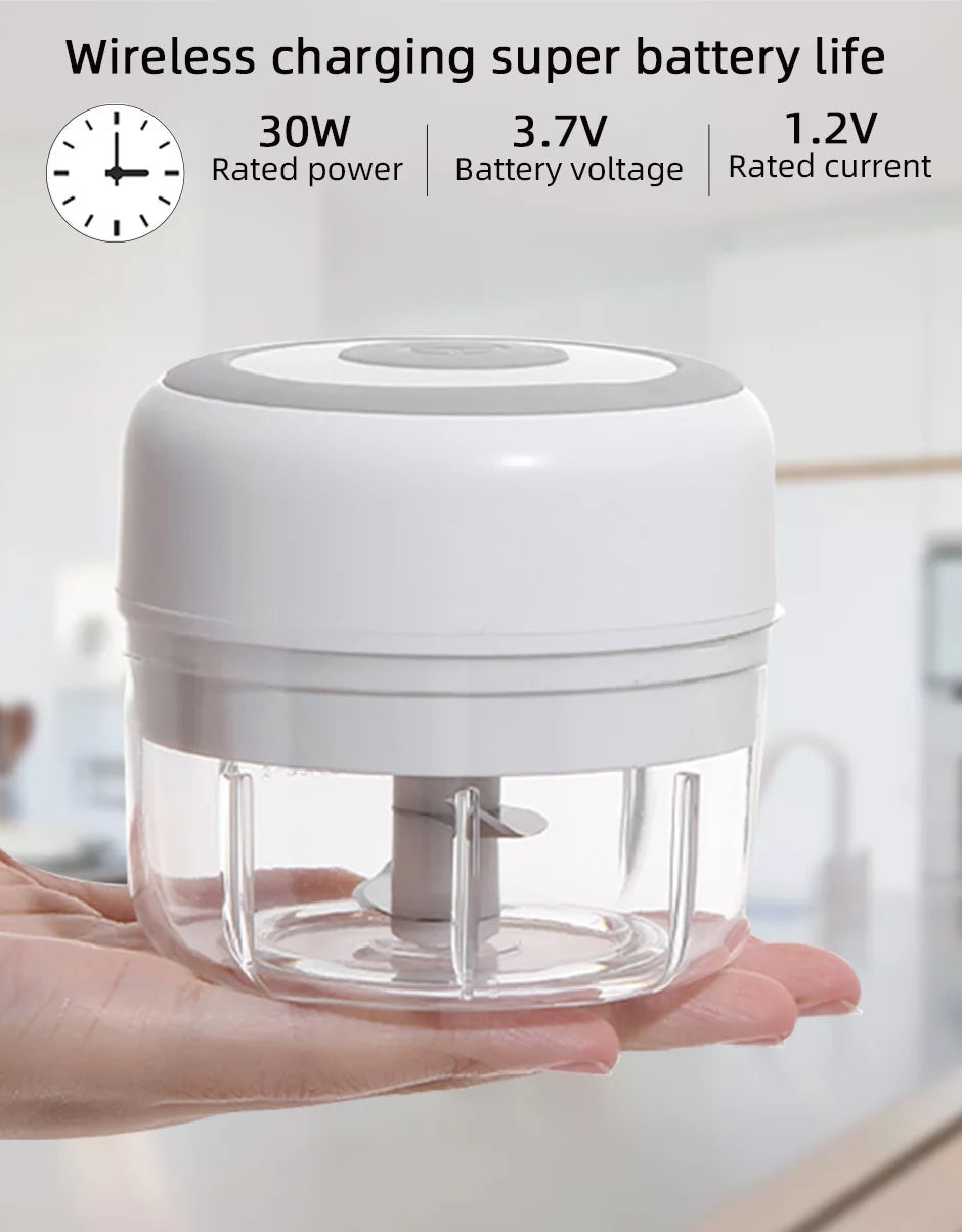 MYVIT USB Electric Mini Food Chopper — 30W Portable Garlic Masher & Vegetable Chopper, 250ml BPA-Free