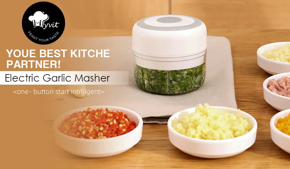 MYVIT USB Electric Mini Food Chopper — 30W Portable Garlic Masher & Vegetable Chopper, 250ml BPA-Free
