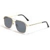 HBK Unisex Retro Double-Bridge Sunglasses | Vintage Reflective Lens UV400 Luxury Metal Frame - Authority Asset Brand